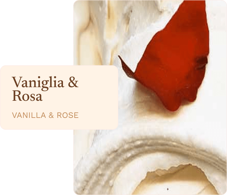 Bacio di Latte - Vaniglia & Rosa